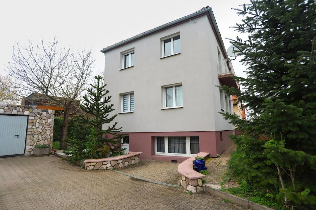 T2 Cosy Entre Calme Et Proximite * Lingolsheim