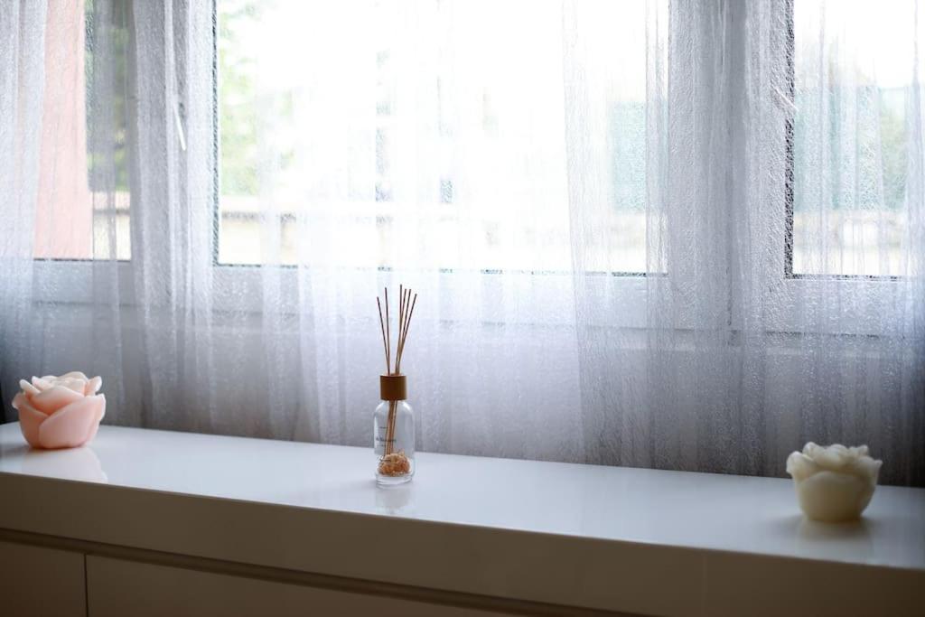 T2 Cosy Entre Calme Et Proximite Apartment *