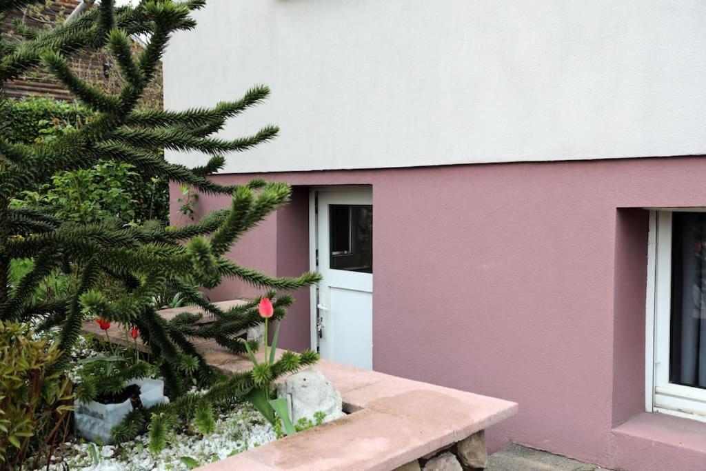 Apartment T2 Cosy Entre Calme Et Proximite Lingolsheim